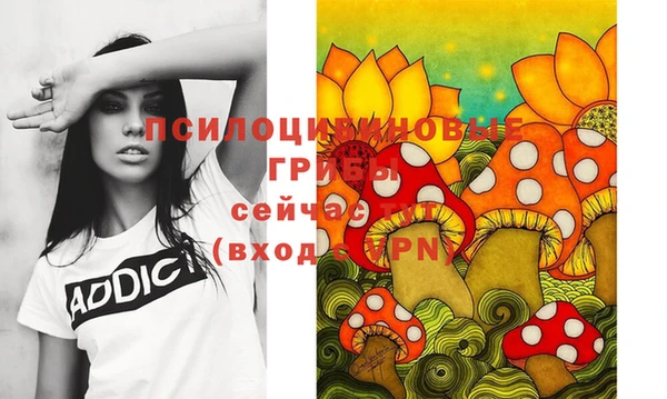 дмт Алексин