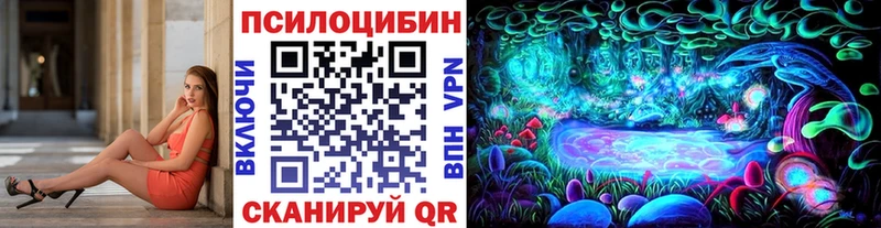 цены   Куровское  Галлюциногенные грибы MAGIC MUSHROOMS 