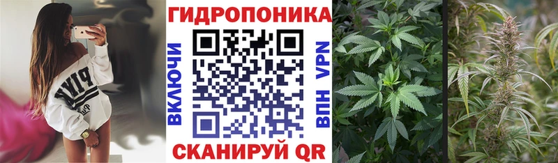 МАРИХУАНА гибрид где купить наркотик Куровское